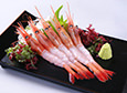 northern shrimp sashimi