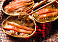 Crab shell assortment